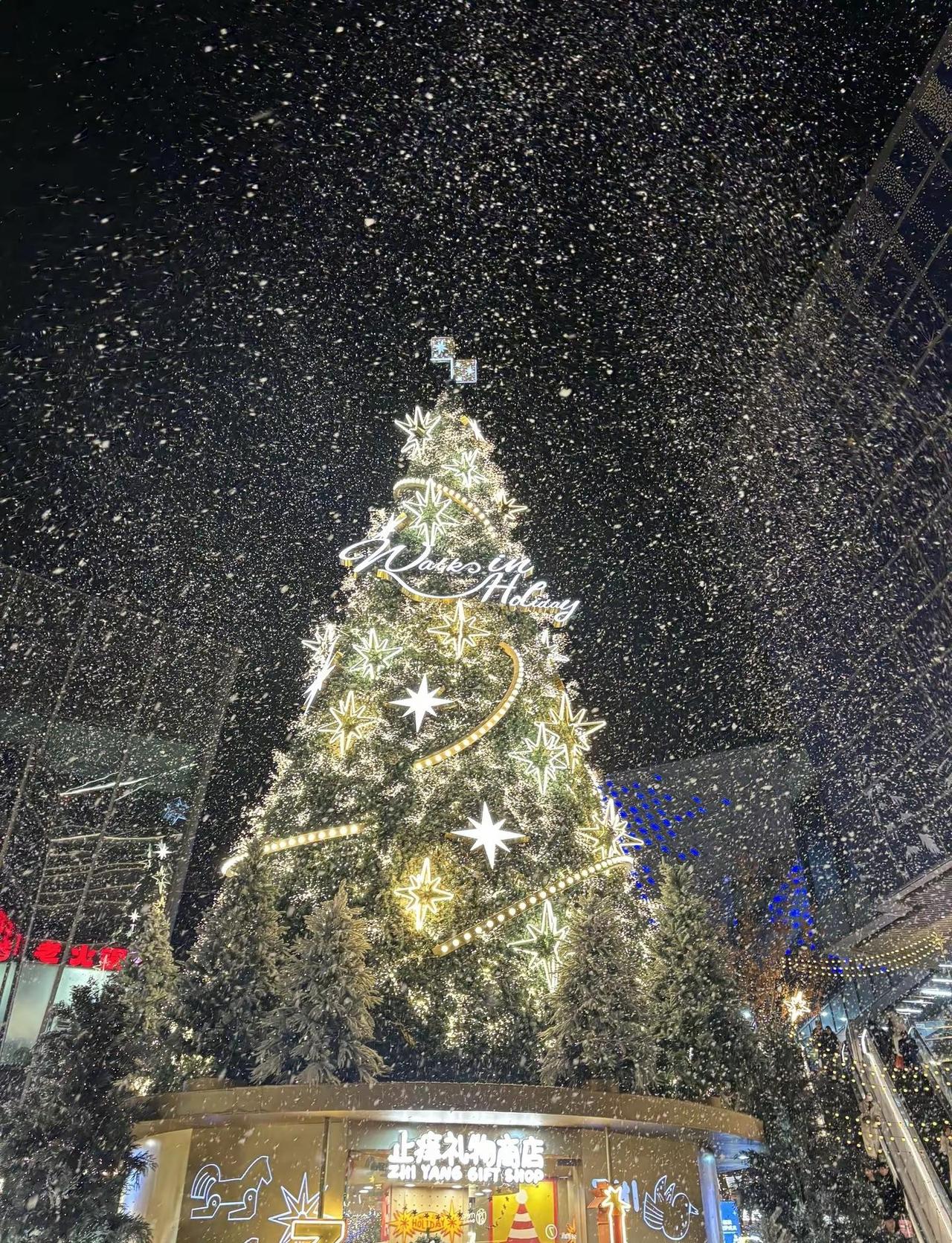 已经十几年没下雪的上海突然飘雪