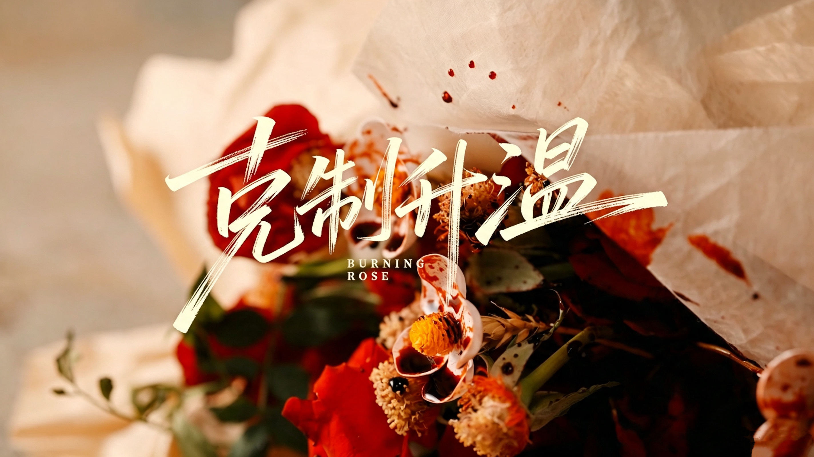 好美的镜头 