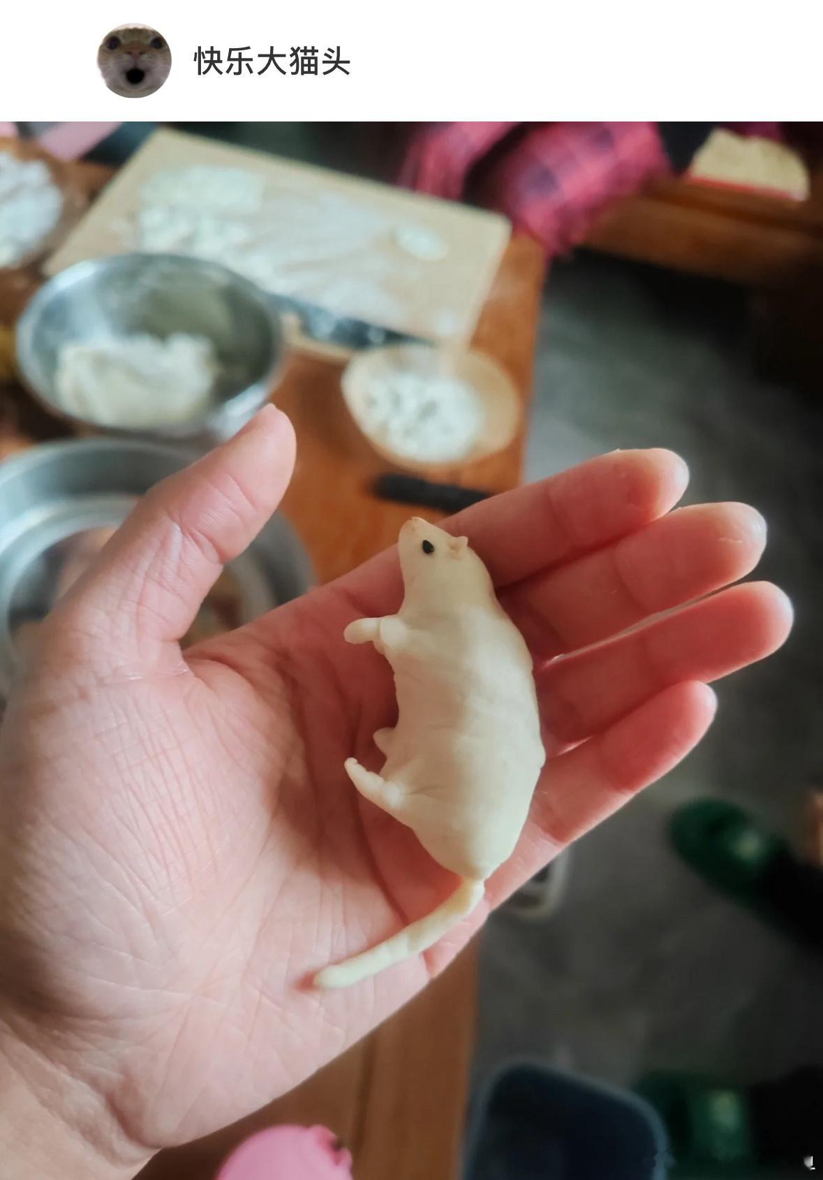 把饺子包成了老鼠的样子被扫地出门#龙年造梗大赛##本命年许愿池# ​​​