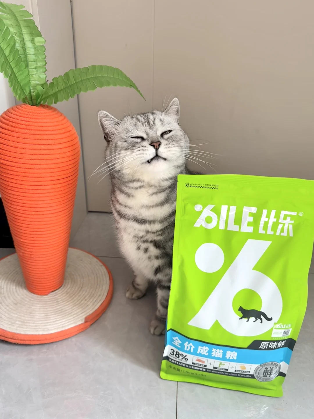 嗯…宣～ 天气好主子胃口也好了～尤其是加了冻干的粮更是爱不释手了！