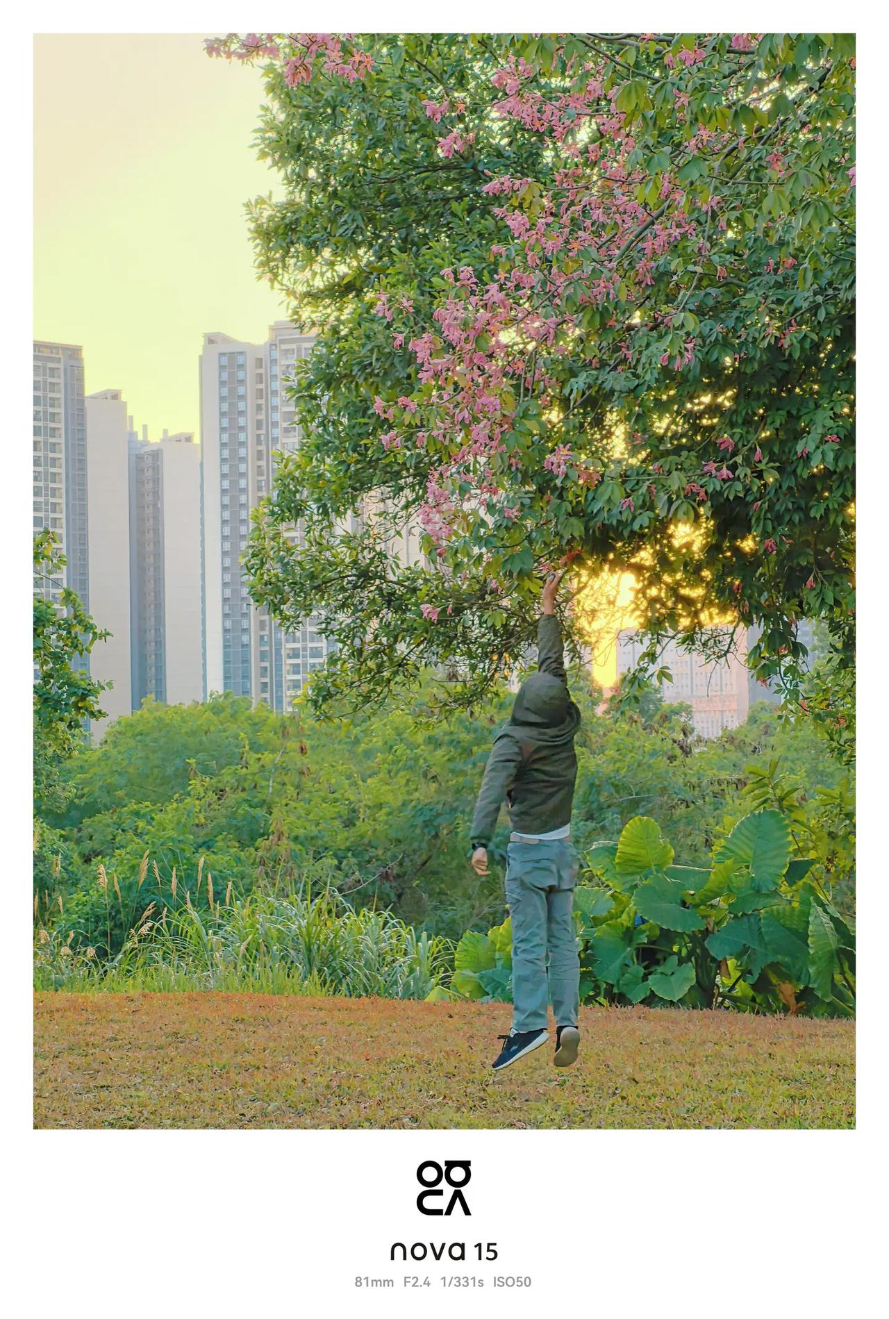 《nova15今天傍晚拍的三张照片》第1张是用三脚架+蓝牙控制器给自己拍的，跳起