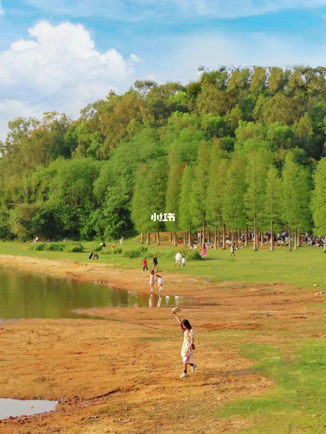 我宣布‼️这是东莞最美的5⃣️个野餐公园