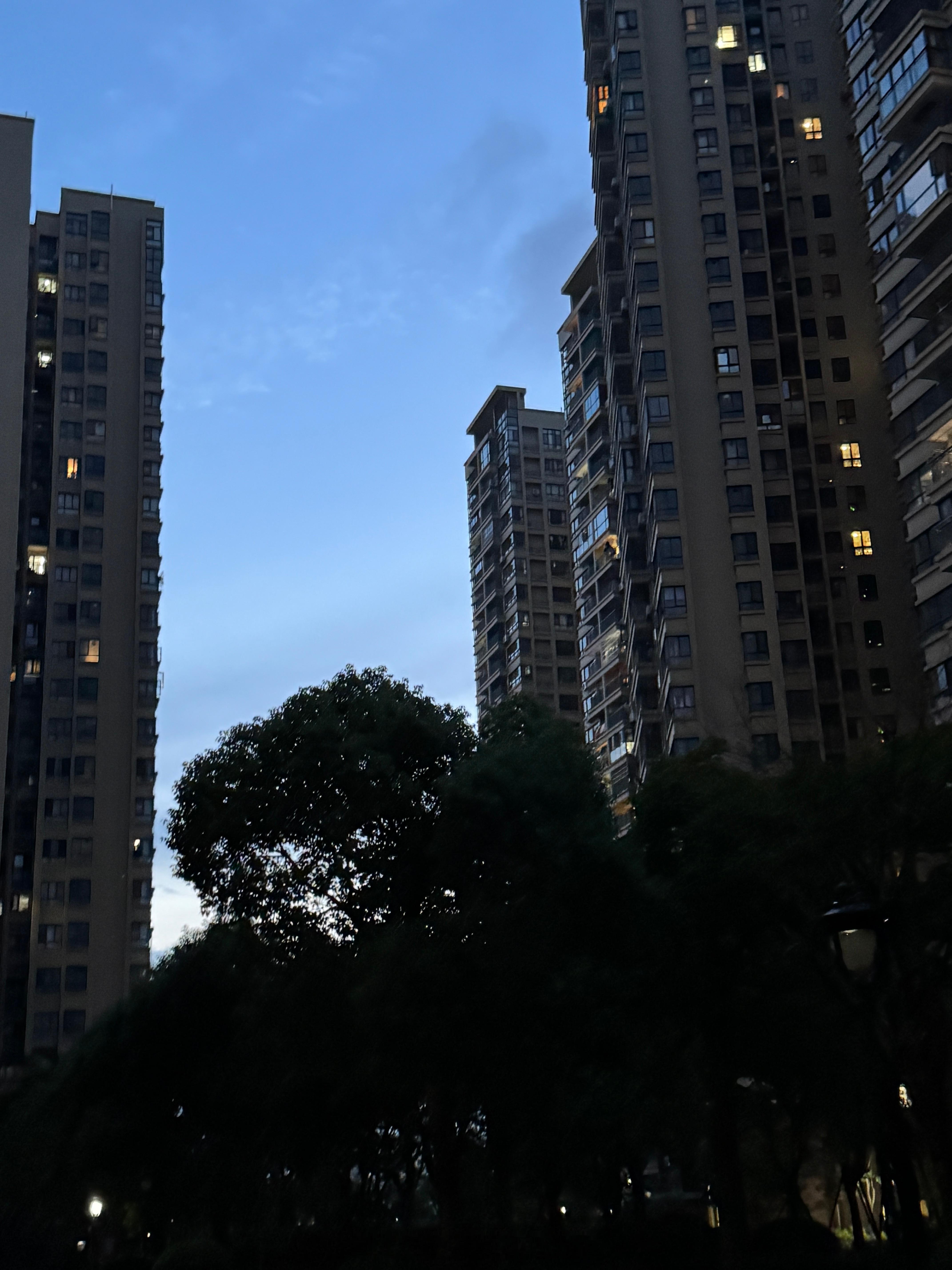 好美！好久没出来在小区里散步了🚶这个点夜晚没有🦟还有风吹，走走挺舒服的