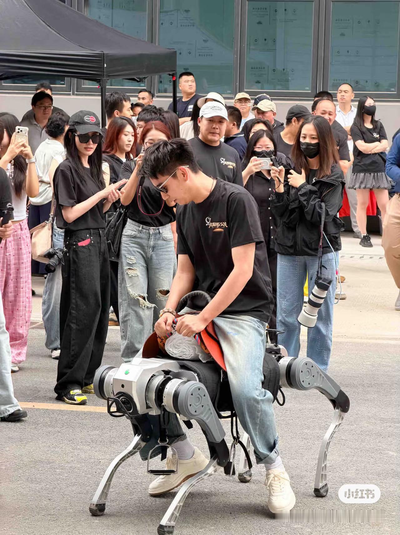 给奇儿玩高兴了王子奇太阳系公民