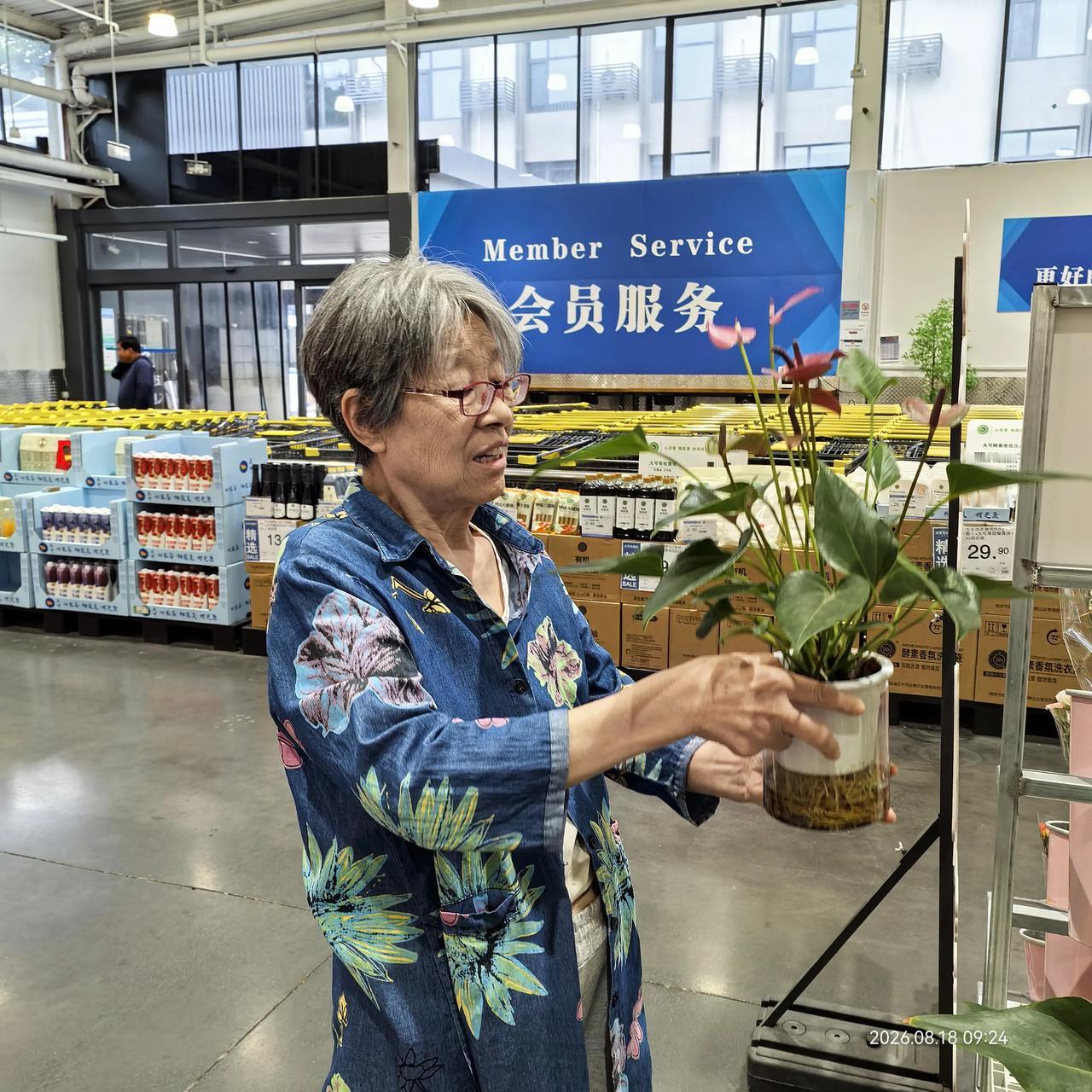 陕西西安、临潼大可仓储：
   如果你去临潼大可仓储，你进去头一个感觉是敞亮。