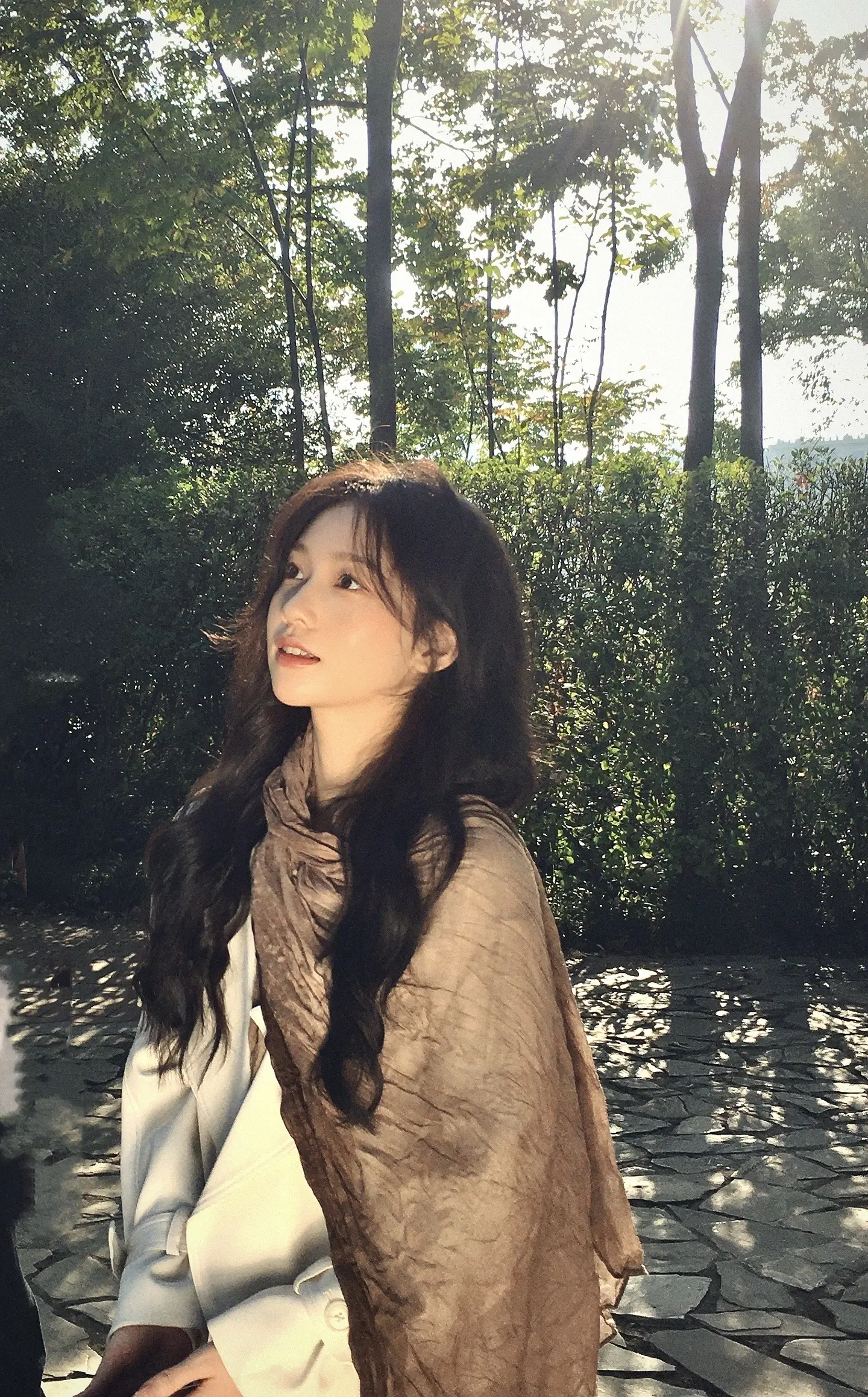只是坐着 看了一会落叶🍂便觉得光阴匆匆
