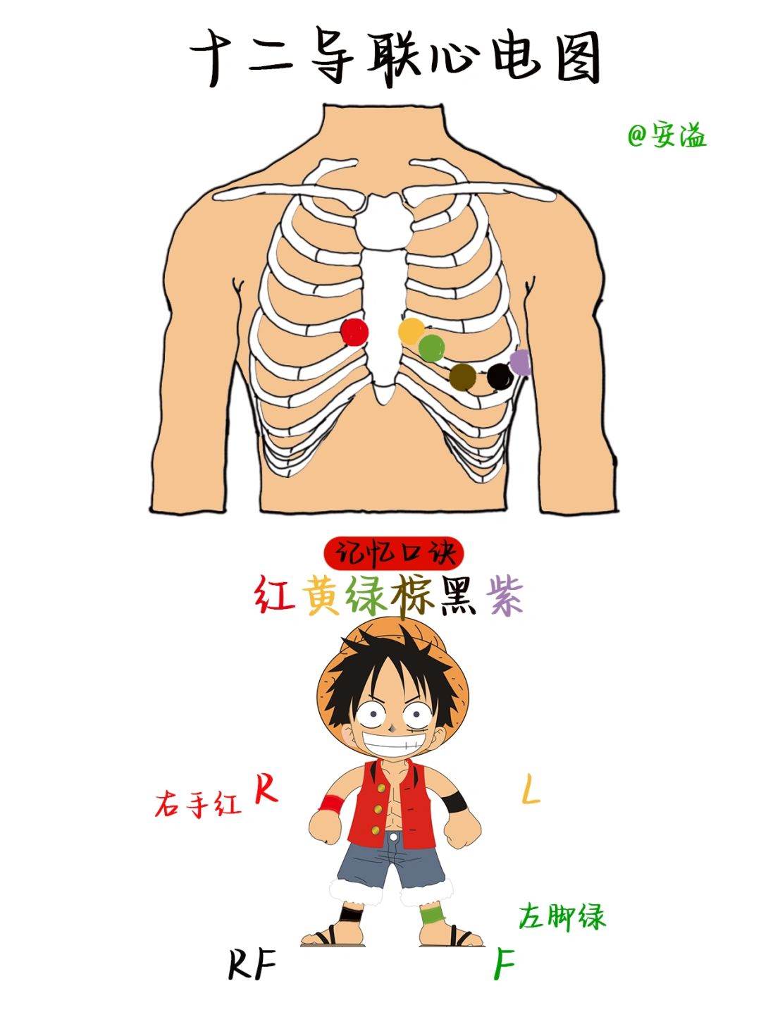 医学生绘本笔记‖心脏导联and肢体导联位置