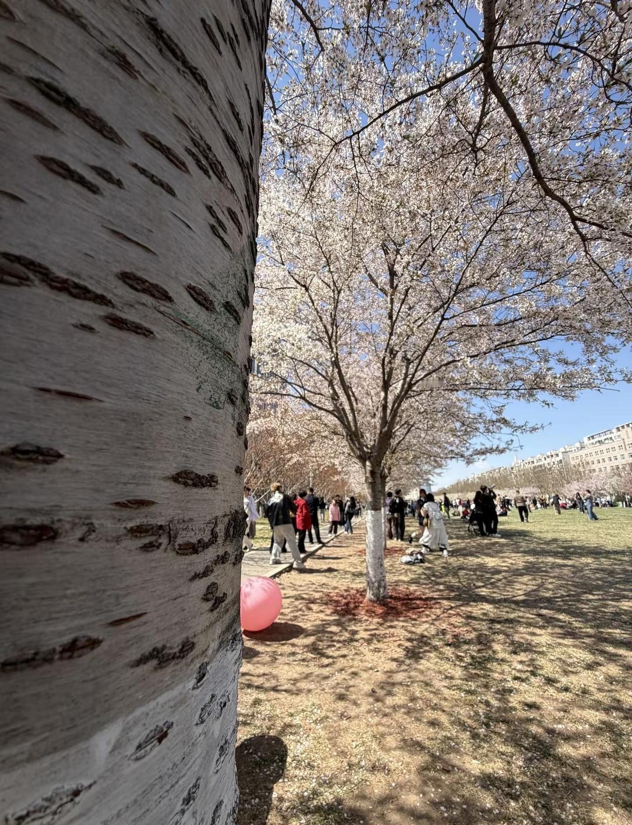 地球 online.提醒您 请勿在npc身上浪费太多时间 避免影响玩家自身情绪_