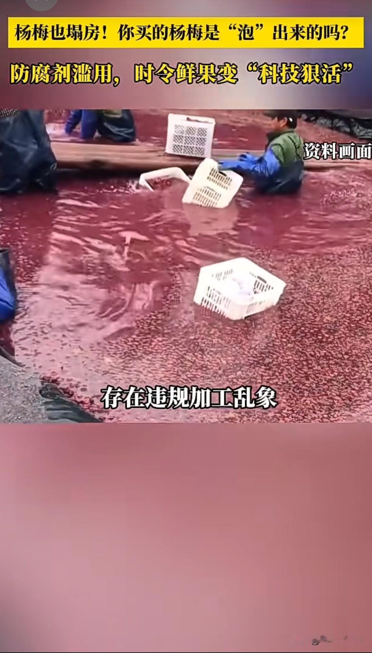 “泡水”杨梅，你还敢吃玛？防腐剂滥用，时令鲜果变“科技狠活”。