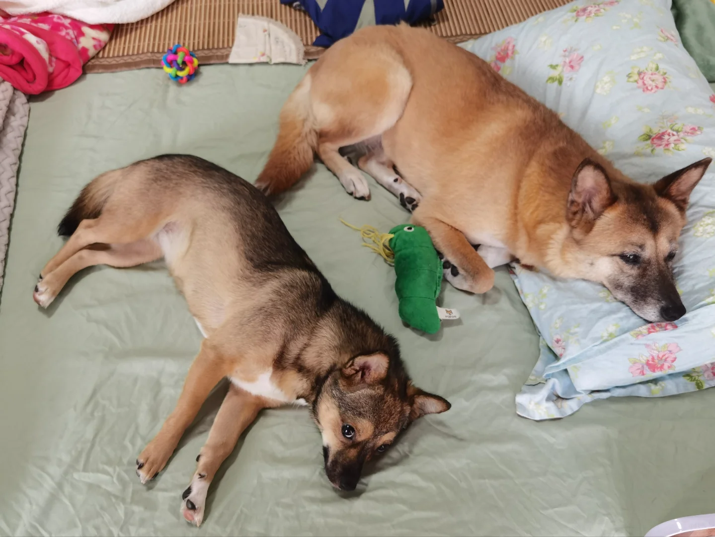 我就只希望你们健康而已