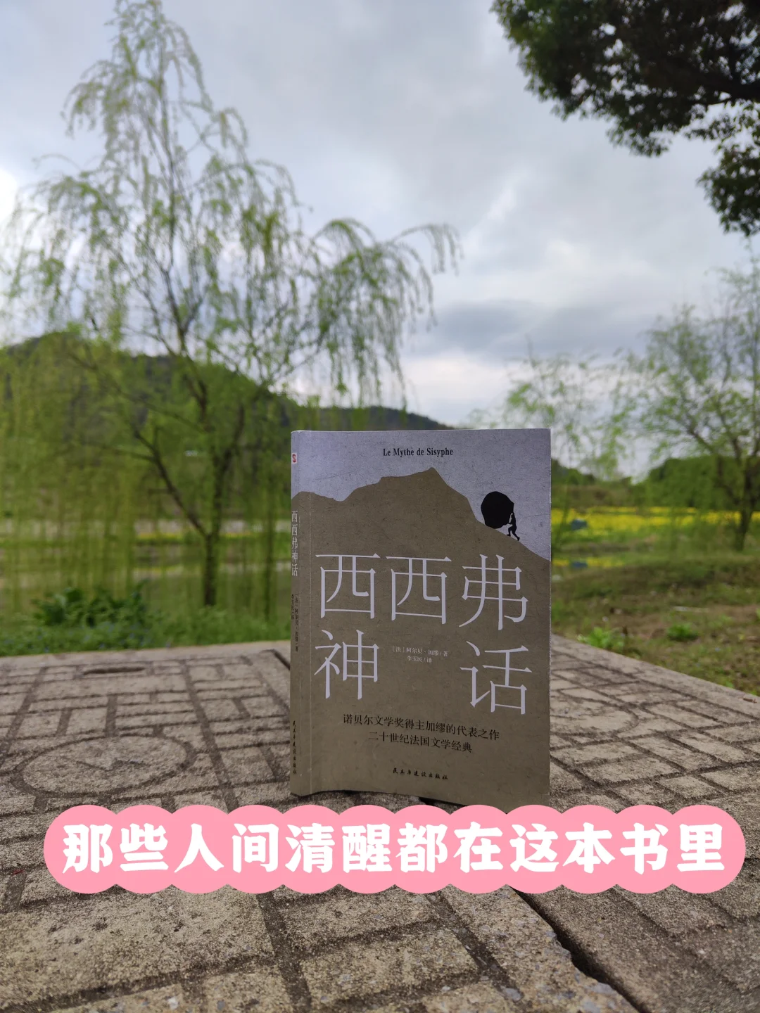 第511本：不能发朋友圈系列：加缪论荒诞