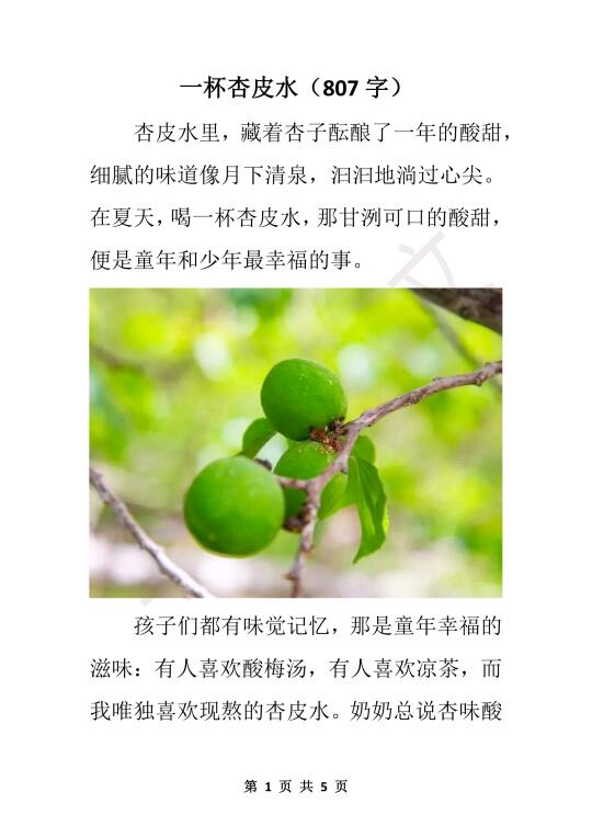 《一杯杏皮水》（原创亲情类）