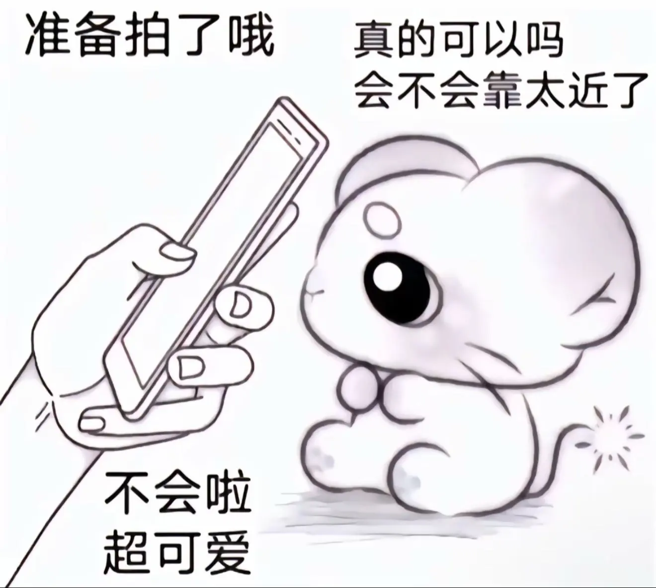 哒宰视角 文豪野犬