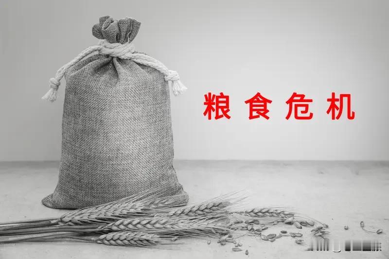 全球粮食危机真的会爆发吗？这事儿还真不好说。摩根大通报告指出，战争、天气等五大因
