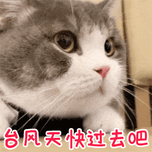 #广东多地紧急停课#最近台风真的好多，大家都一定要注意安全，保护好自己[抱抱][