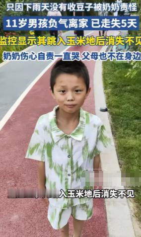 担心的事情还是发生了！云南昭通，11岁男孩因为忘了帮奶奶收豆子，被奶奶痛骂，一赌
