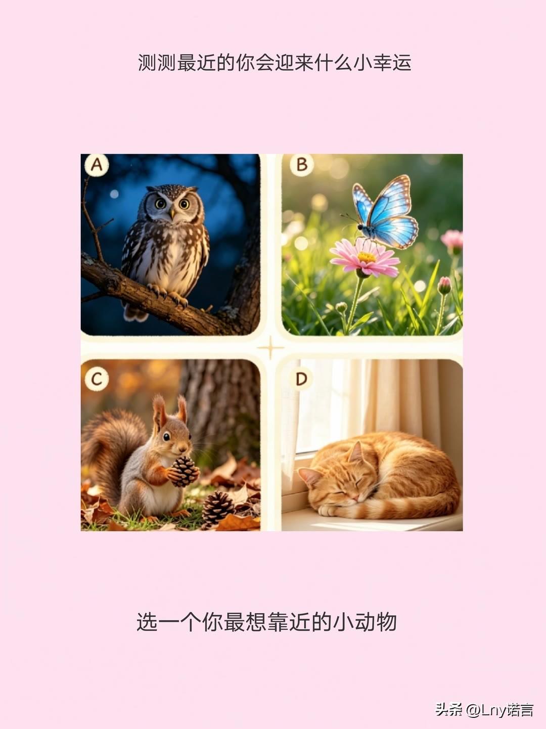 选一个你最想靠近的小动物