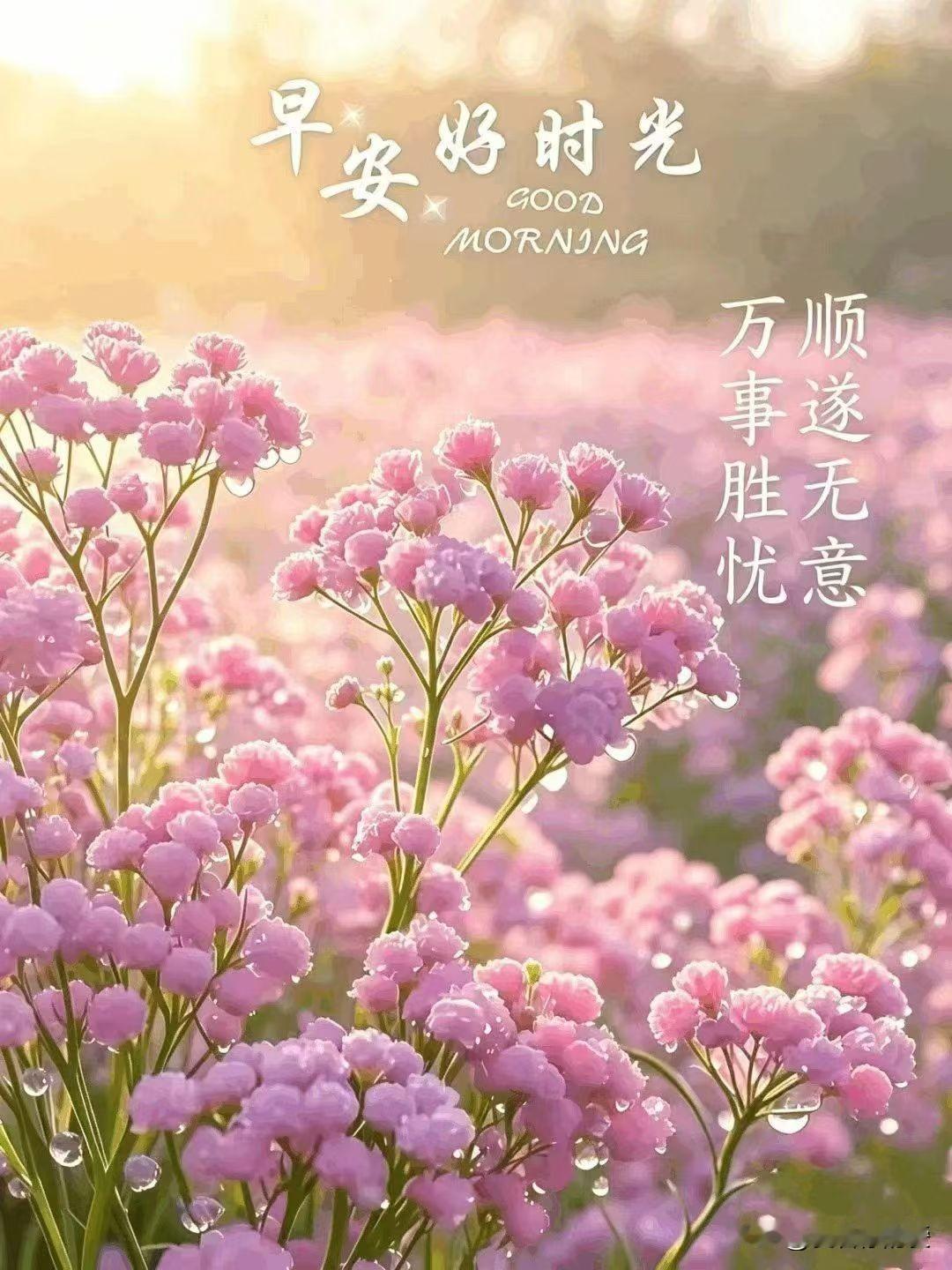 记录我的2026 记录我的2026
2026年，想来会是充满转机的一年。恰似天秤