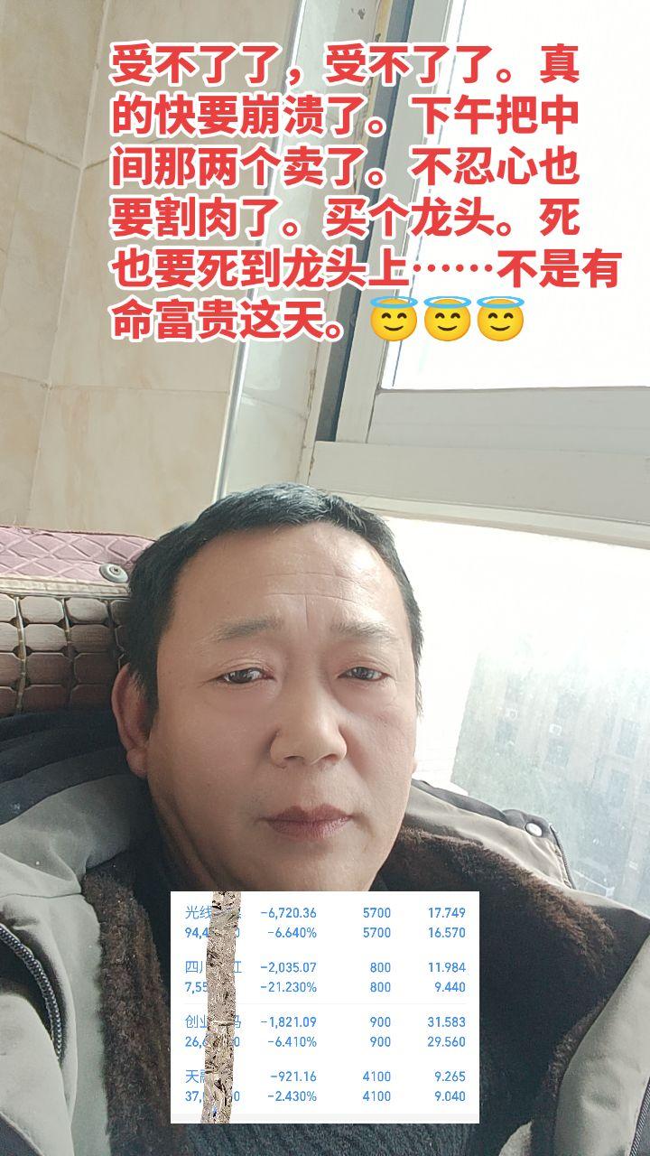 受不了了，受不了了。真的快要崩溃了。下午把中间那两个卖了。不忍心也要割...