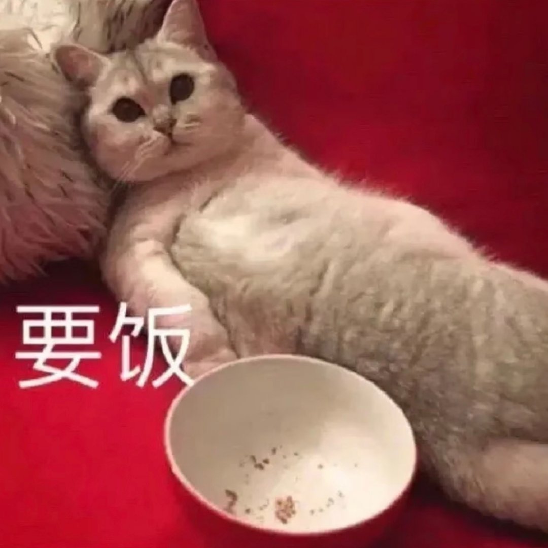 叔 花絮 