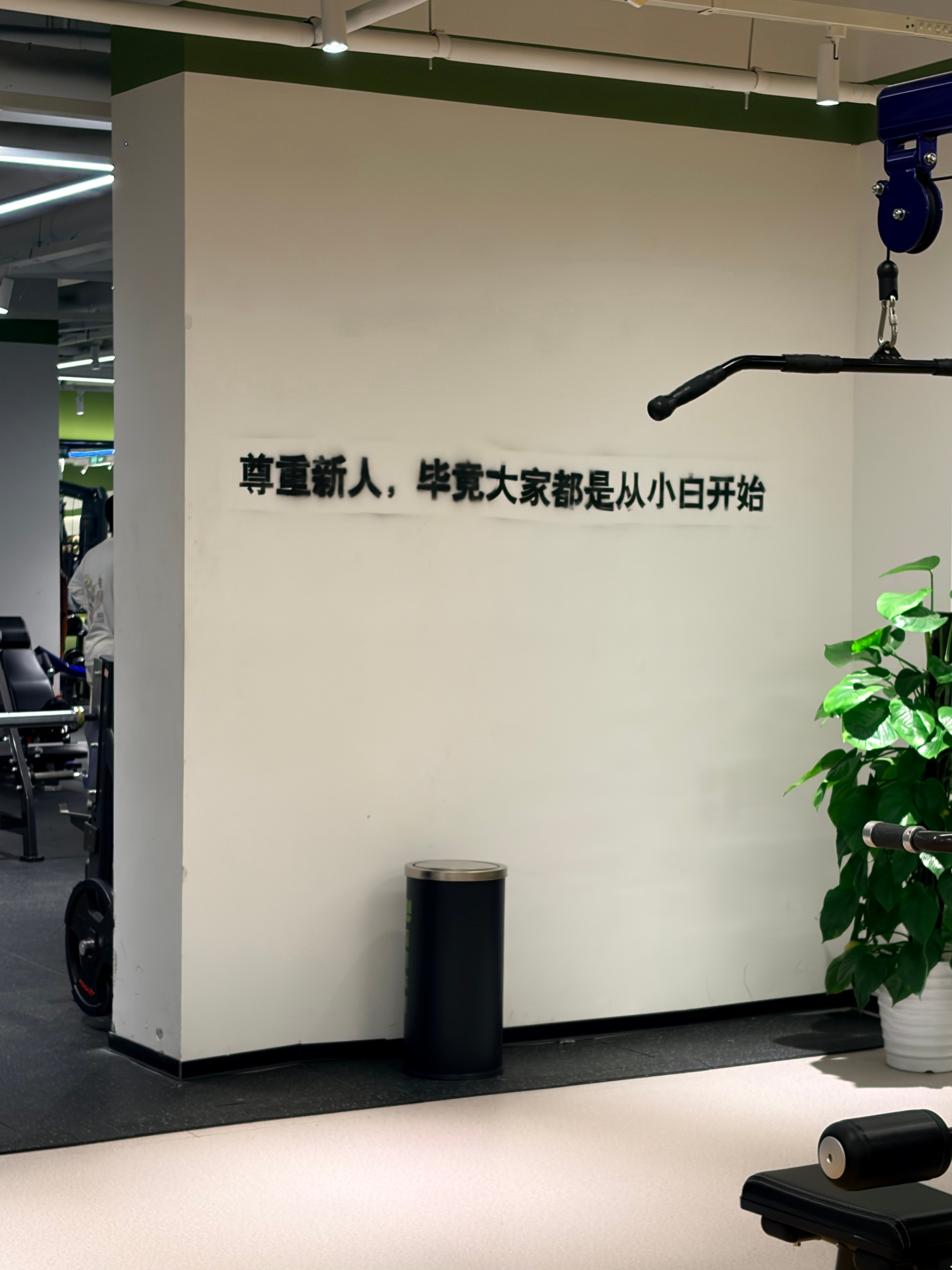 嘿嘿 准备恢复健身🏋️健身打卡