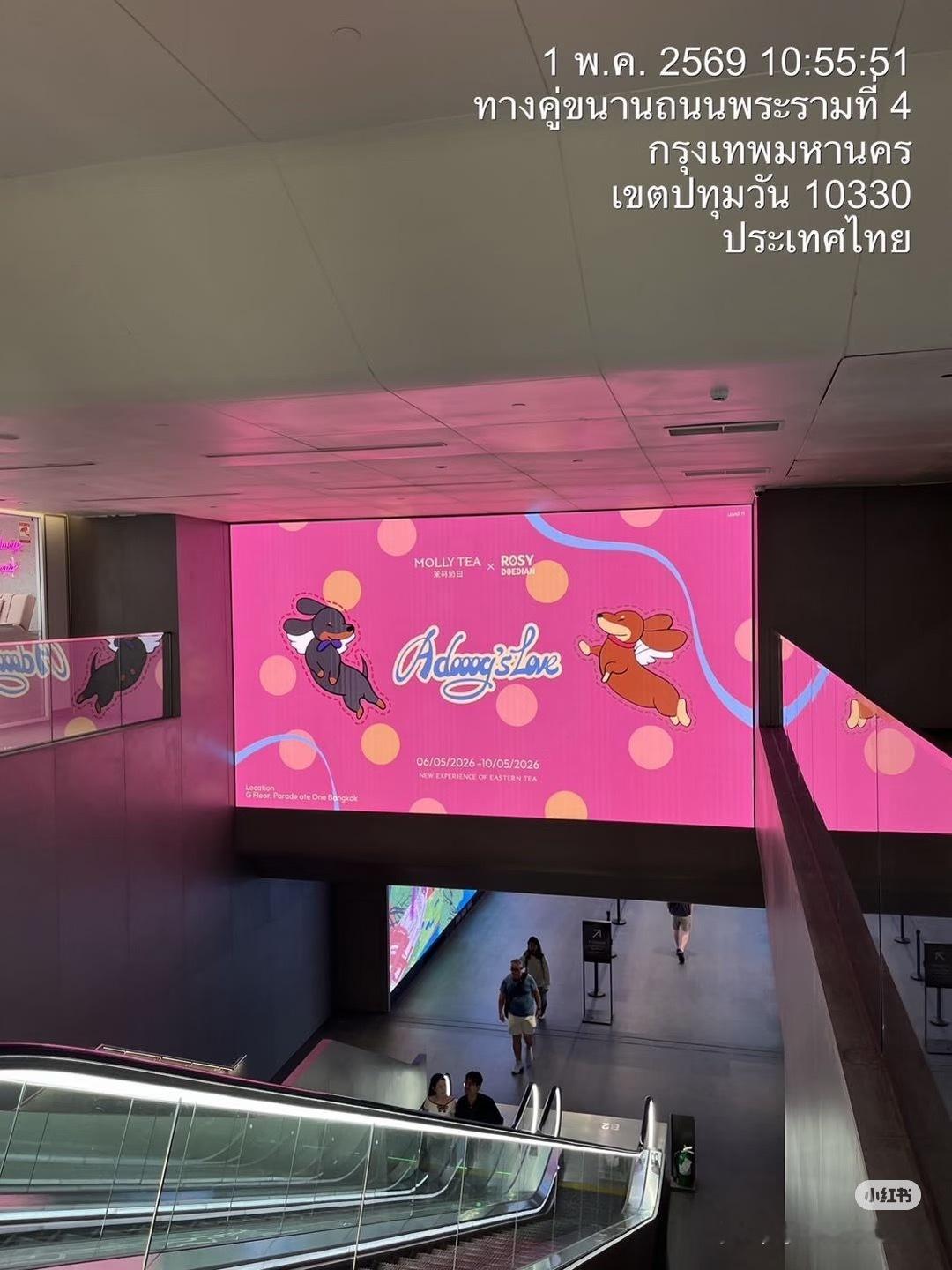 赵露思  这两狗也是在🇹🇭有地广了