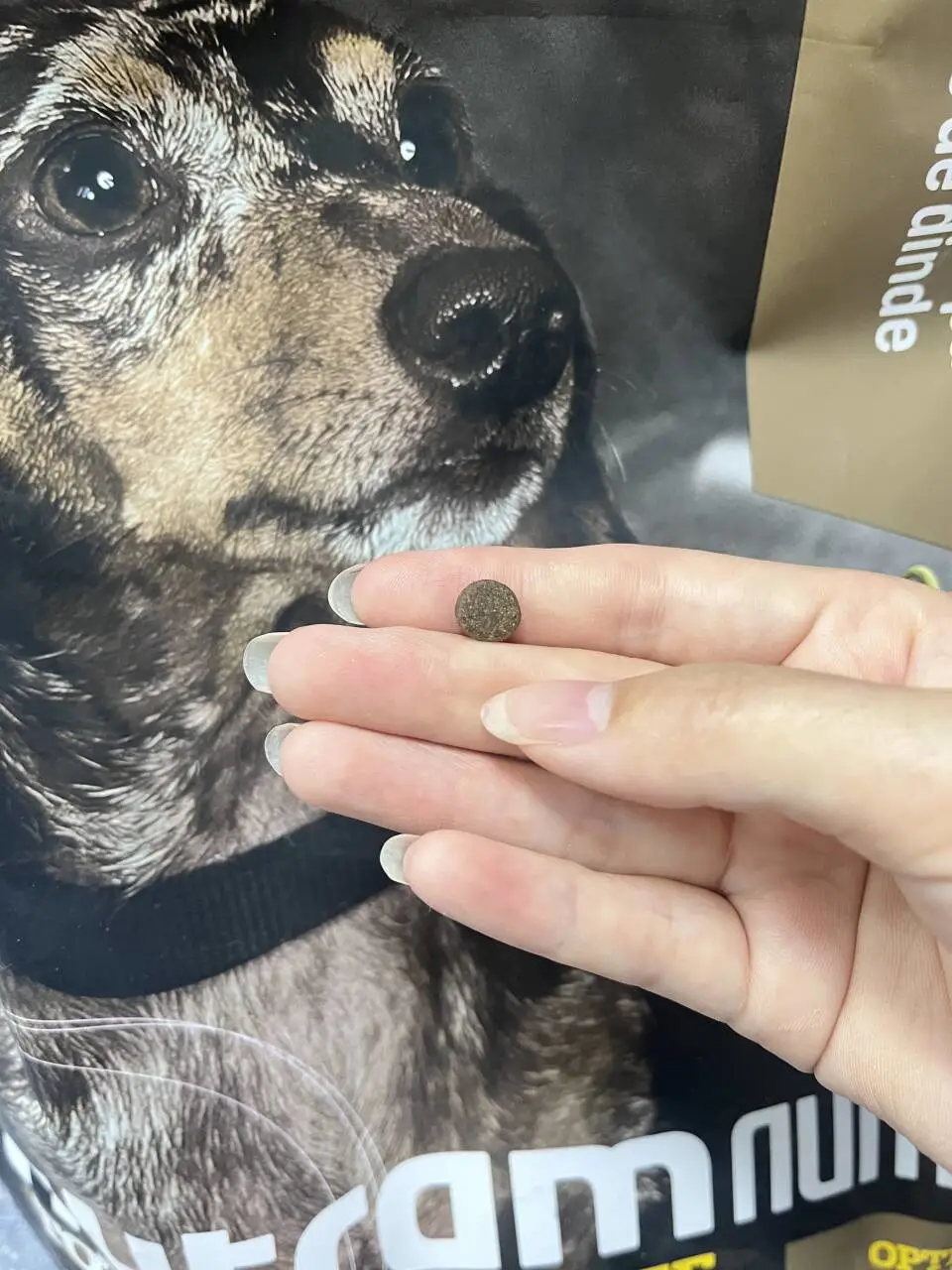 山姆纽顿高贵在哪？？