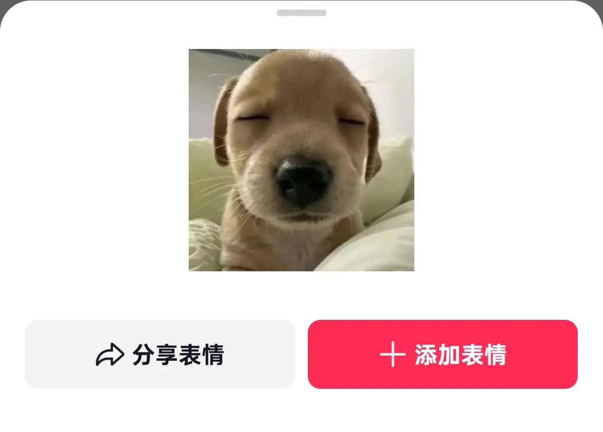就这样平静沉稳？可不可爱？