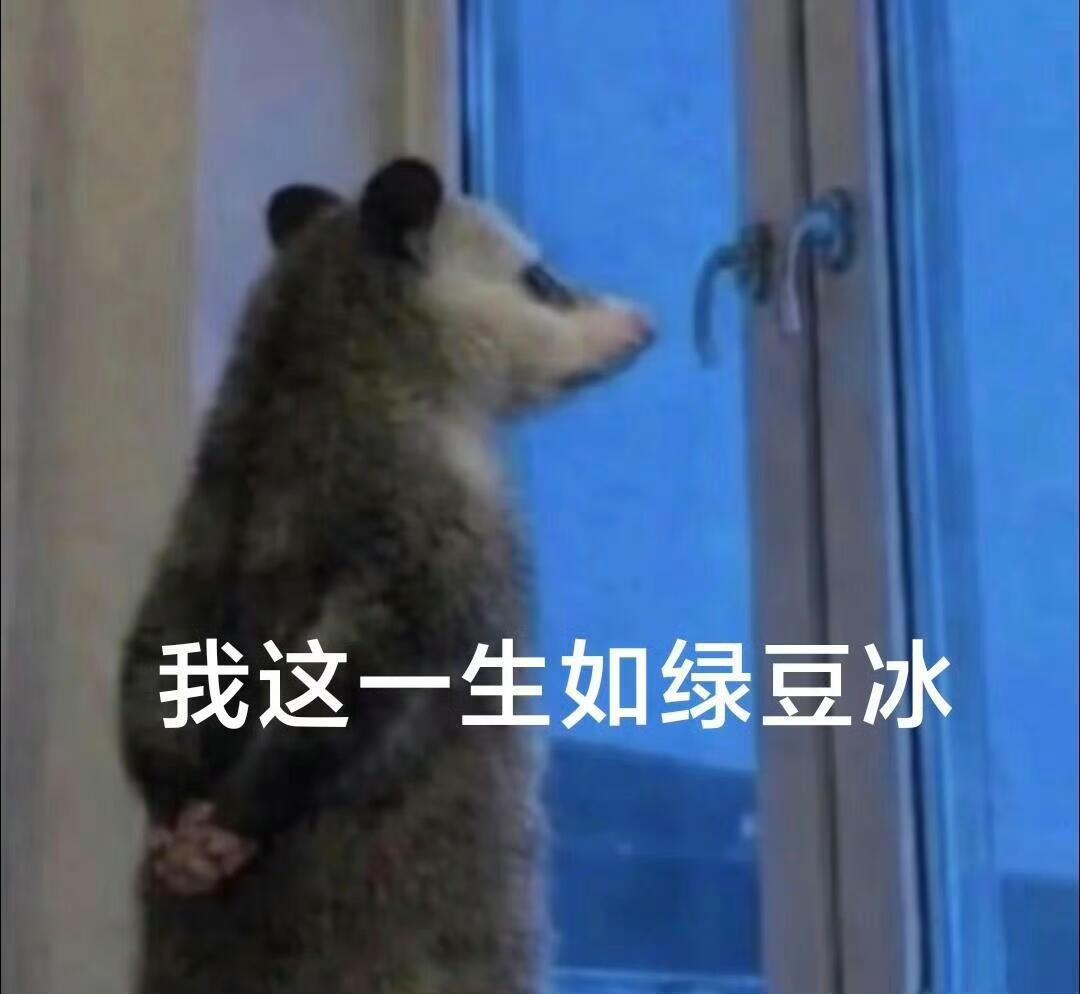 今天受到最大的暴击……花花说我声音xxs