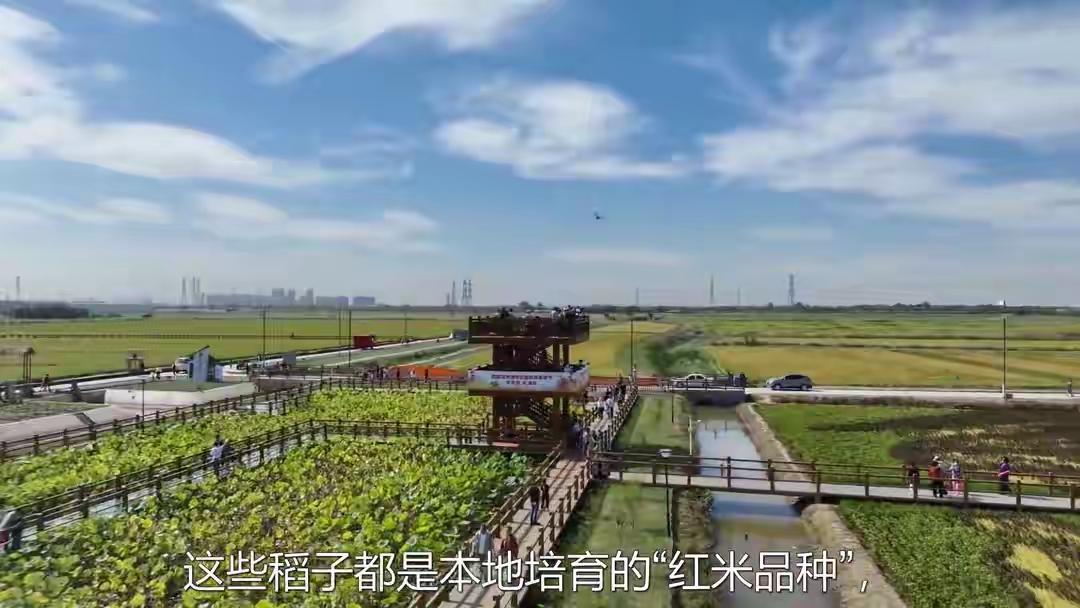 虽说没说永新的具体秘境，但不妨想象一下永新那些独特之处。也许第一个秘境是藏在深山