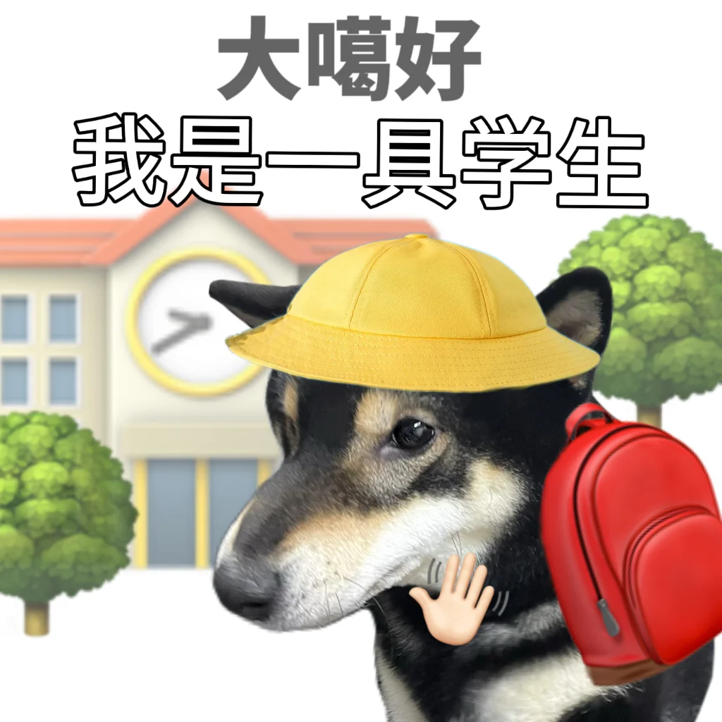 就这么水灵灵地开学了🥹