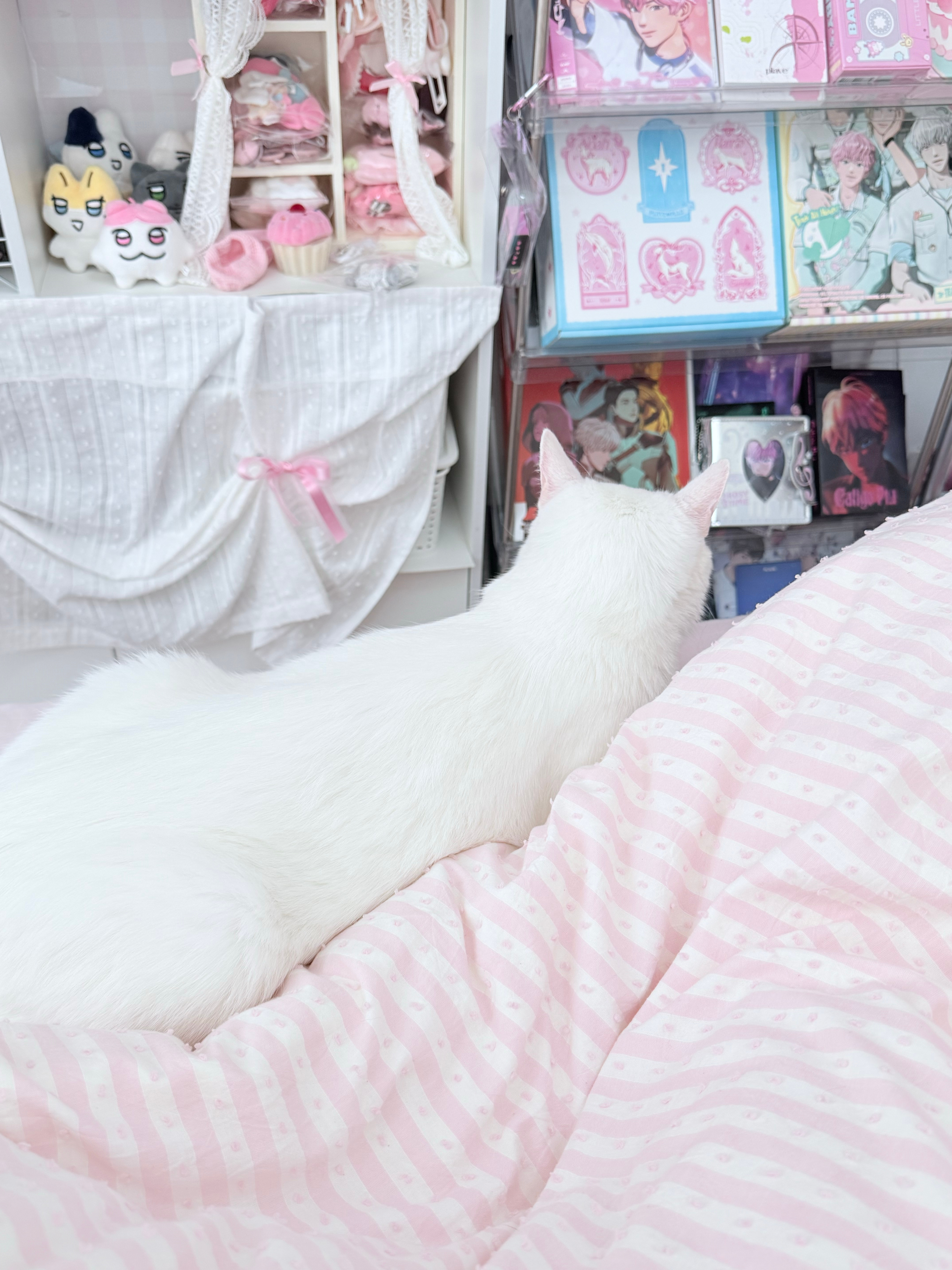 猫也想我了 