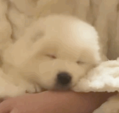 可爱动图表情包：天真小宝！（2）