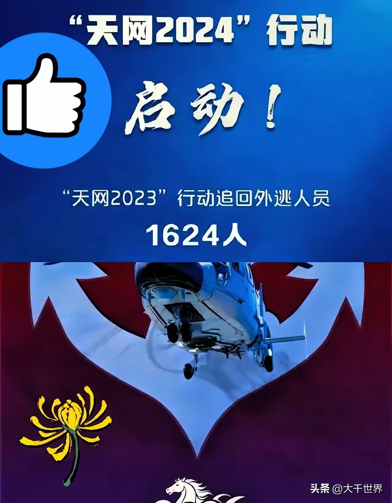 4月2号这消息一出，估计不少躲在国外的“老鼠”后脊梁骨得冒凉气。天网2026正式