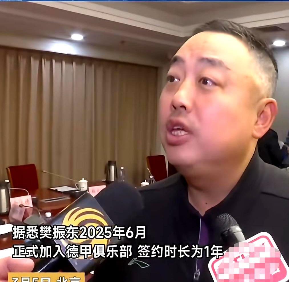 樊振东撂下奥运金牌，扭头买张机票飞奔德国打联赛，急得王励勤抓着手机连打好几个跨国