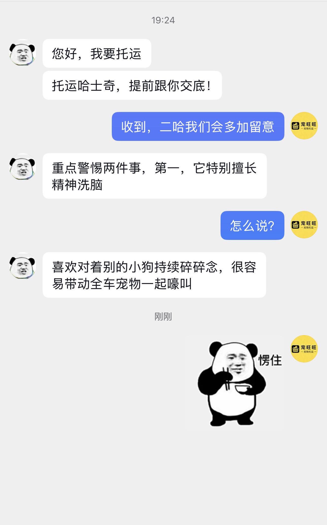 预警！这只哈士奇拥有车厢“策反”能力。