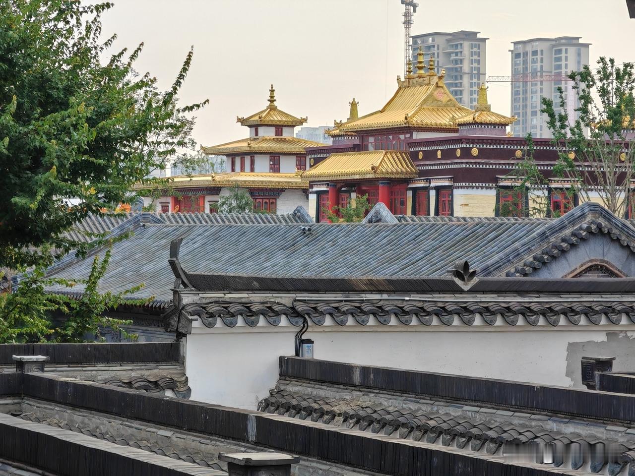 有人可能一生也去不了西藏，如果你到湖北云梦的祥云湾，可了你观西藏心愿！祥云湾有个