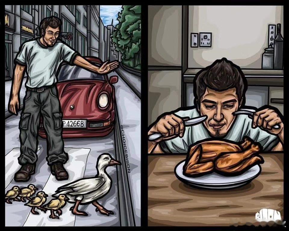 如果你在街上看到有人伤害那只带崽的母鸭，你一定会愤怒地制止。但如果这只母鸭被做成