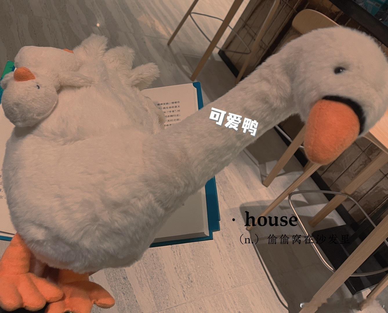 对未知的恐惧是自己假象的，与其深受其困，不如过好眼下～老婆们晚安💤（可以睡前说