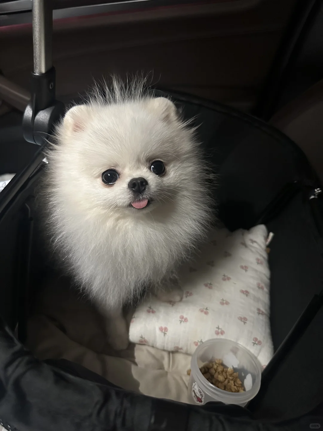 据说呆傻的孩子都长这样