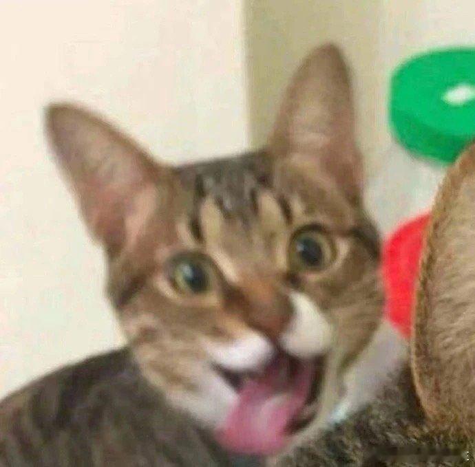 #王源演唱会主题房爆火#真的很羡慕每一个去王源演唱会的小汤圆们啊，这无论是感官还