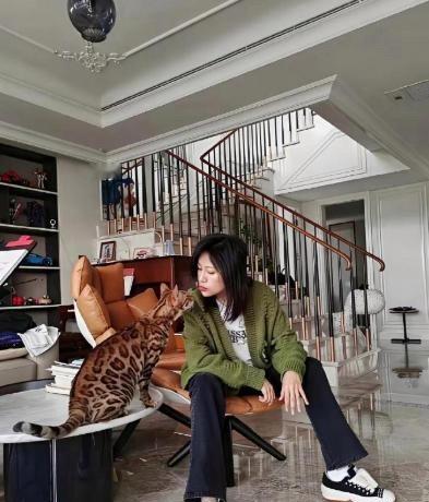 陆毅和鲍蕾在上海住顶级大别墅，真令人羡慕啊 