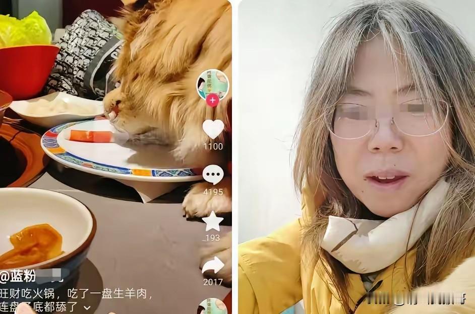 上一个干这种缺德事的是在火锅里小便，赔了220万，这个直接用餐具喂狗，现在店家停