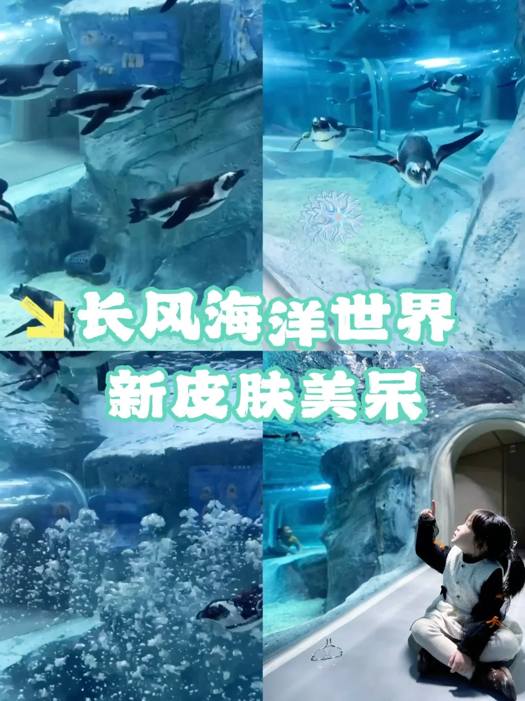 上海市区‼️被严重低估的超美海洋世界