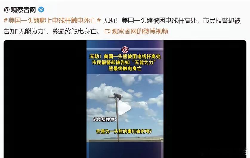 《意林》当年不是说，美国总统会为一只麻雀派战斗机吗？如今一头活生生的熊挂在电线杆