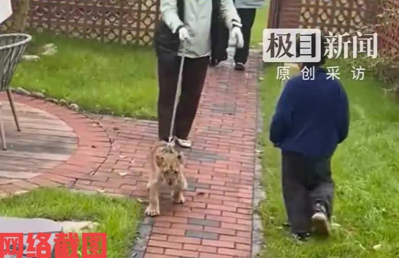 江苏宿迁有家人到景区酒店留宿。

为了给孩子一个特别的惊醒，这天家人为他准备了小