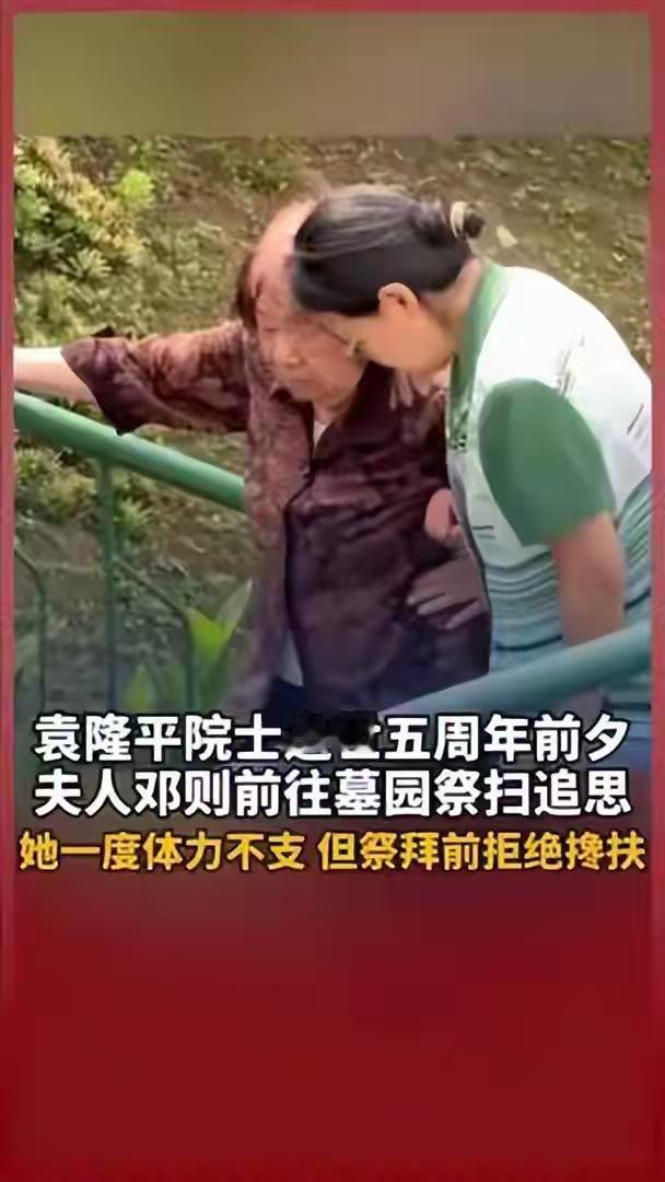 袁老逝世5周年，86岁邓则祭拜前推开搀扶的手：这一幕，藏着最动人的相守
 
5月