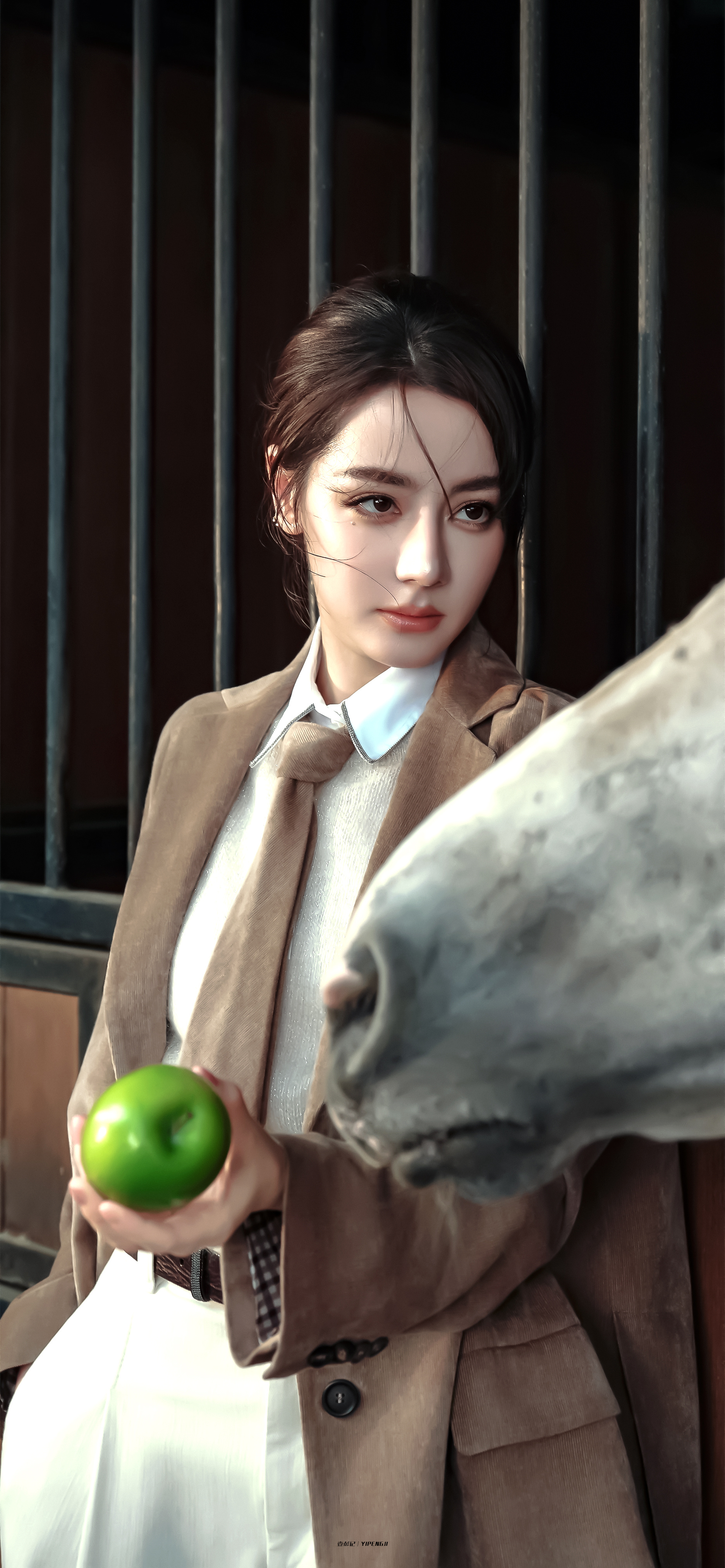 迪丽热巴·𝘿𝙞𝙡𝙧𝙖𝙗𝙖 ​​​