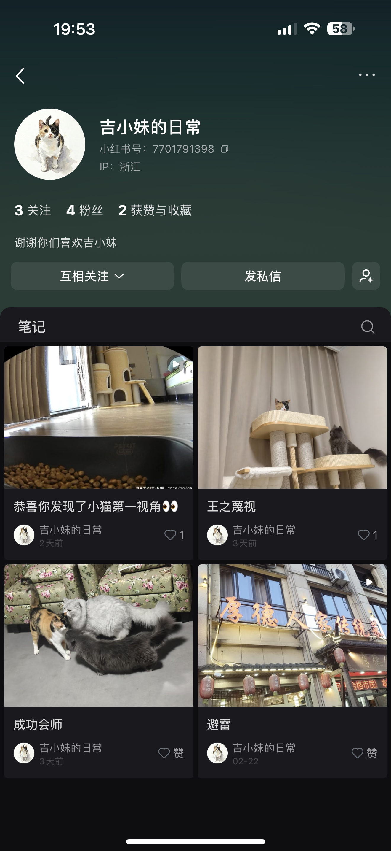 吉小妹经过长时间的隔离已完美融入新家～跟哥哥们关系可好啦！吉小妹的新妈妈在红薯开