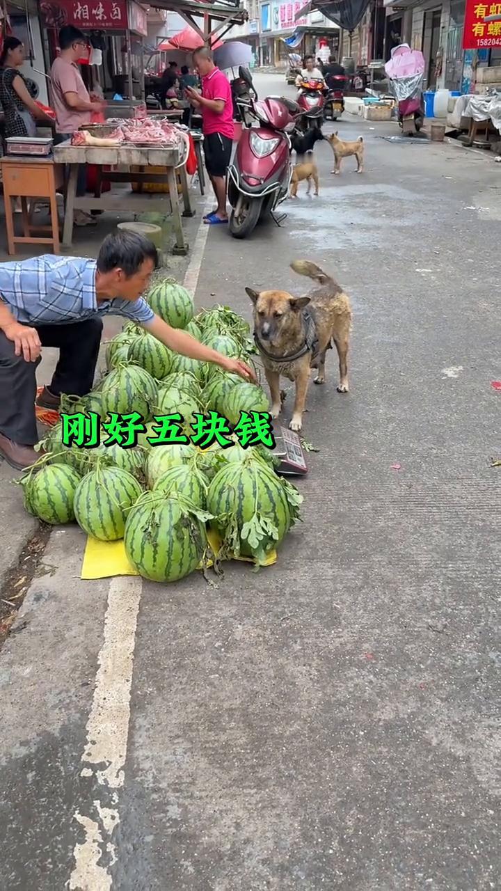 如果不是亲眼所见我是万万不敢相信。